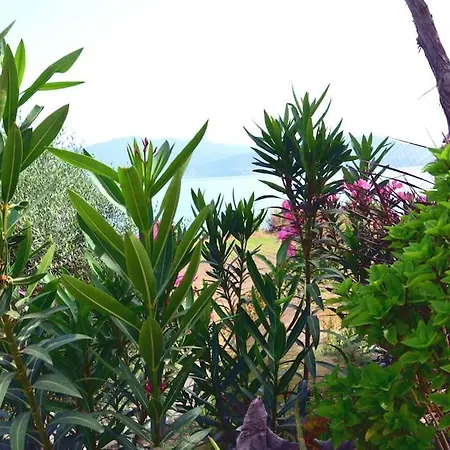 Holiday home Terra Saronia *
